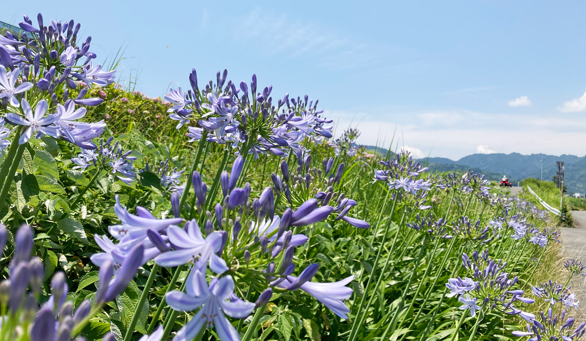 みずほなかよし公園