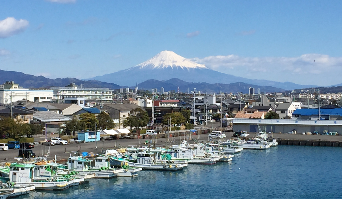 南【春】 広野の桃畑